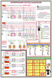 ПС16 Заземление и защитные меры электробезопасности (напряжение до 1000 в) (ламинированная бумага, А2, 4 листа) - Плакаты - Электробезопасность - ohrana.inoy.org